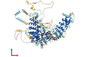 AlphaFold protein structure predicition of Mouse Recombinant Rpap1 Protein, UniprotID Q80TE0