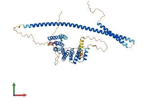 AlphaFold protein structure predicition of Human Recombinant KLC3 Protein, UniprotID Q6P597