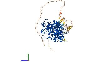 AlphaFold protein structure predicition of Mouse Recombinant Mbtd1 Protein, UniprotID Q6P5G3