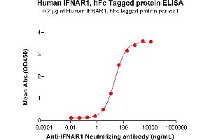 ELISA plate pre-coated by 2 μg/mL (100 μL/well) Human IF Protein, hFc Tag (ABIN7455503, ABIN7491020 and ABIN7491022) can bind Anti-IF Neutralizing antibody ABIN7478013 and ABIN7490965 in a linear range of 0.
