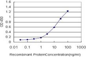 ELISA image for anti-A Kinase (PRKA) Anchor Protein 17A (AKAP17A) (AA 53-157) antibody (ABIN599035) (SFRS17A anticorps  (AA 53-157))