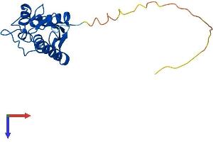 AlphaFold protein structure predicition of Human Recombinant UBE2T Protein, UniprotID Q9NPD8