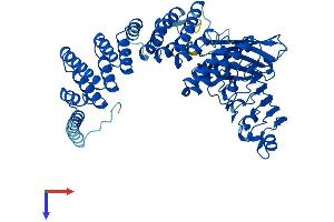 AlphaFold protein structure predicition of Mouse Recombinant Rabggta Protein, UniprotID Q9JHK4