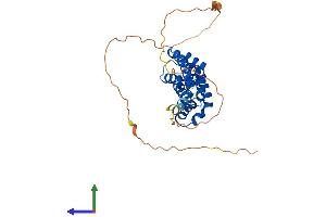 AlphaFold protein structure predicition of Human Recombinant KATNBL1 Protein, UniprotID Q9H079