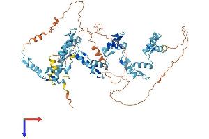AlphaFold protein structure predicition of Human Recombinant ZNF613 Protein, UniprotID Q6PF04