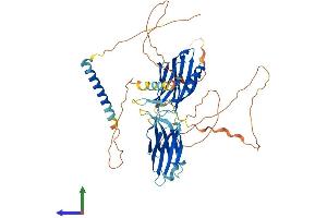 AlphaFold protein structure predicition of Human Recombinant SYT14 Protein, UniprotID Q8NB59