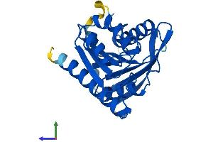 AlphaFold protein structure predicition of Human Recombinant TEX30 Protein, UniprotID Q5JUR7