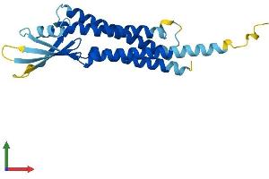 AlphaFold protein structure predicition of Human Recombinant CLRN3 Protein, UniprotID Q8NCR9