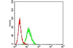 Flow cytometric analysis of Hela cells using PCDH9 mouse mAb (green) and negative control (red).