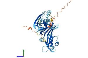 AlphaFold protein structure predicition of Human Recombinant DND1 Protein, UniprotID Q8IYX4