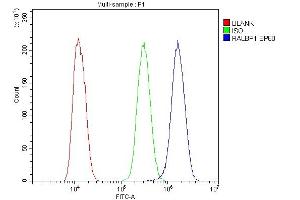 Flow Cytometry analysis of U20S cells using anti-RALBP1 antibody (ABIN5692936). (RALBP1 anticorps  (AA 239-506))