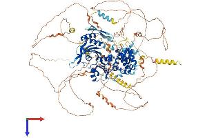 AlphaFold protein structure predicition of Human Recombinant DENND2B Protein, UniprotID P78524