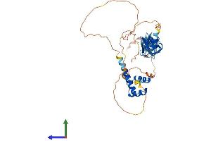 AlphaFold protein structure predicition of Mouse Recombinant Lhx9 Protein, UniprotID Q9WUH2