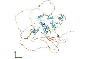 AlphaFold protein structure predicition of Human Recombinant ZFY Protein, UniprotID P08048
