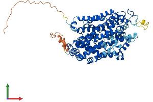 AlphaFold protein structure predicition of Mouse Recombinant Slc6a12 Protein, UniprotID P31651