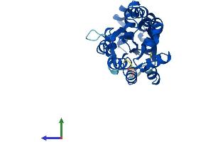 AlphaFold protein structure predicition of Mouse Recombinant Uros Protein, UniprotID P51163