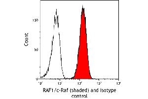 Flow Cytometry (FACS) image for anti-V-Raf-1 Murine Leukemia Viral Oncogene Homolog 1 (RAF1) (AA 300-350) antibody (ABIN7795692) (Recombinant RAF1 anticorps  (AA 300-350))