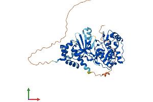 AlphaFold protein structure predicition of Mouse Recombinant Nim1k Protein, UniprotID Q8BHI9
