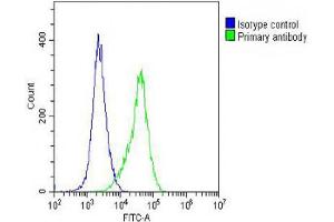 Overlay histogram showing  cells stained with A(green line).