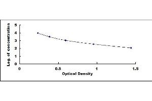Rabbit Capture antibody from the kit in ELISA with Positive Control: Mouse serum.