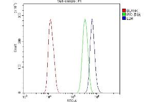 Flow Cytometry analysis of U20S cells using anti-LBR antibody (ABIN6719340). (Lamin B Receptor anticorps  (AA 102-209))