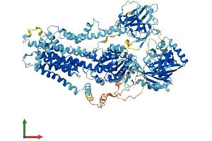 AlphaFold protein structure predicition of Mouse Recombinant Atp8a2 Protein, UniprotID P98200