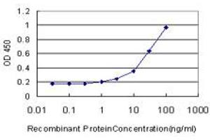 Detection limit for recombinant GST tagged NDST3 is approximately 1ng/ml as a capture antibody. (NDST3 anticorps  (AA 162-259))