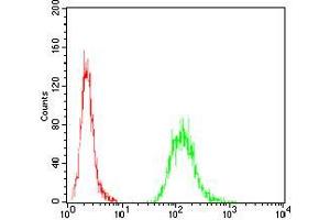 Flow cytometric analysis of A431 cells using EZR mouse mAb (green) and negative control (red). (Ezrin anticorps  (AA 292-464))
