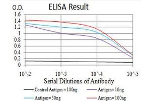 Black line: Control Antigen (100 ng), Purple line: Antigen(10 ng), Blue line: Antigen (50 ng), Red line: Antigen (100 ng),