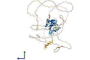 AlphaFold protein structure predicition of Mouse Recombinant Socs6 Protein, UniprotID Q9JLY0