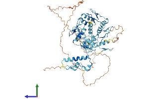 AlphaFold protein structure predicition of Human Recombinant ZNF354A Protein, UniprotID O60765