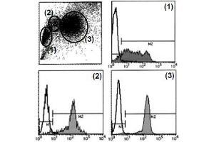Flow Cytometry (FACS) image for anti-Sialophorin (SPN) antibody (ABIN1106370) (CD43 anticorps)