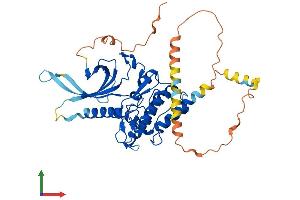 AlphaFold protein structure predicition of Mouse Recombinant Stk40 Protein, UniprotID Q7TNL3
