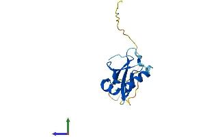 AlphaFold protein structure predicition of Human Recombinant ATG12 Protein, UniprotID O94817