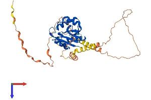 AlphaFold protein structure predicition of Mouse Recombinant Naa30 Protein, UniprotID Q8CES0
