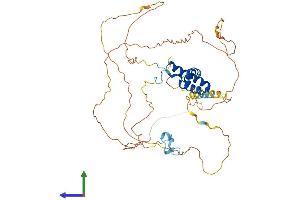 AlphaFold protein structure predicition of Mouse Recombinant Tcf7l2 Protein, UniprotID Q924A0