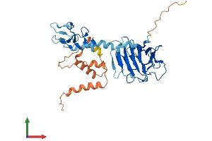 AlphaFold protein structure predicition of Human Recombinant RFPL2 Protein, UniprotID O75678