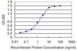 Detection limit for recombinant GST tagged S100A10 is 0. (S100A10 anticorps  (AA 1-97))