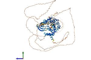 AlphaFold protein structure predicition of Mouse Recombinant Nek4 Protein, UniprotID Q9Z1J2