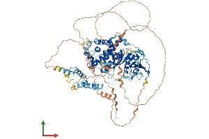 AlphaFold protein structure predicition of Human Recombinant PGBD1 Protein, UniprotID Q96JS3