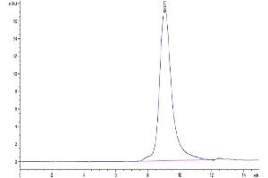 The purity of SARS-COV-2 Spike S1(B.