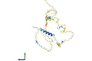 AlphaFold protein structure predicition of Human Recombinant CDCA5 Protein, UniprotID Q96FF9