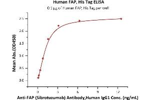 Immobilized Human FAP, His Tag (ABIN6973052) at 1 μg/mL (100 μL/well) can bind Anti-FAP (Sibrotuzumab) Antibody,Human IgG1 with a linear range of 0.