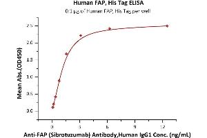 Immobilized Human FAP, His Tag (ABIN6973052) at 1 μg/mL (100 μL/well) can bind Anti-FAP (Sibrotuzumab) Antibody,Human IgG1 with a linear range of 0. (FAP Protein (AA 26-760) (His tag))