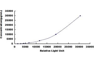 ELISA image for Tumor Necrosis Factor (Ligand) Superfamily, Member 11 (TNFSF11) CLIA Kit (ABIN492164)