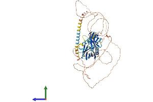 AlphaFold protein structure predicition of Human Recombinant SYT16 Protein, UniprotID Q17RD7