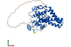 AlphaFold protein structure predicition of Human Recombinant SCD Protein, UniprotID O00767