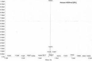 Mass Spectrometry (MS) image for Histone H3 (H3) (H3K9me2) protein (ABIN2669568)