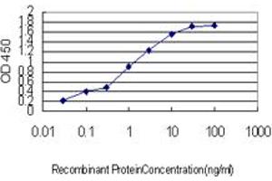 Detection limit for recombinant GST tagged CPNE6 is approximately 0.