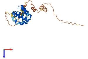AlphaFold protein structure predicition of Human Recombinant CARD16 Protein, UniprotID Q5EG05
